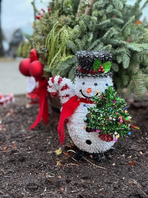 Photo of a snowman decoration in front of a small balsam fir.